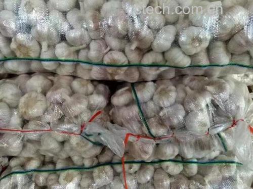 搓蒜准备：白皮蒜剥皮与清洗过程