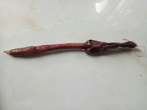 鹿鞭实物图