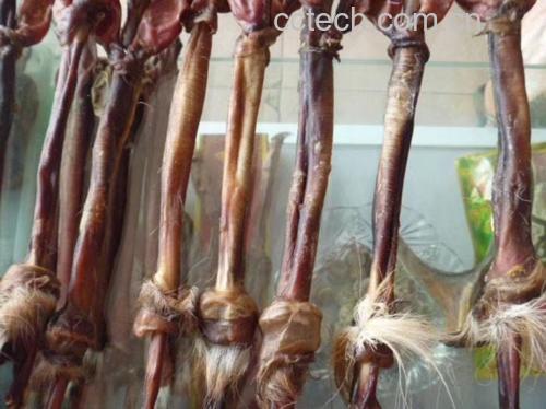 鹿鞭干燥成品特写
