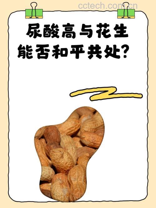 营养师正在向患者讲解饮食建议