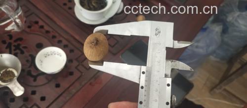 龙眼冷藏与冷冻对比图