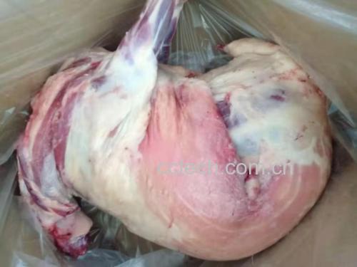 白条羊肉质细节图