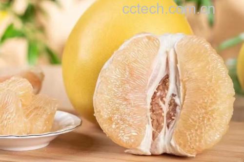 琯溪蜜柚与西柚对比图