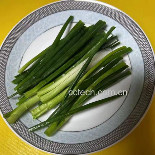 大葱炒鸡肉成品图
