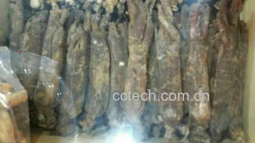 高丽参的适用人群与禁忌人群对比图