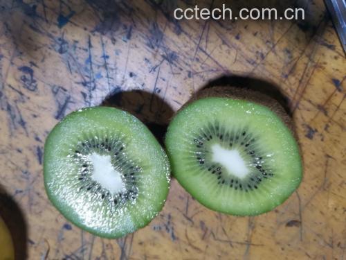猕猴桃横向切开后用小勺挖食的特写镜头