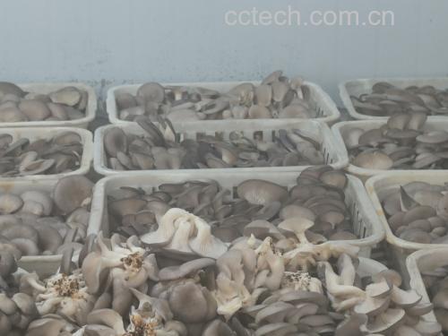 厨房操作台上的食材与工具