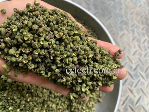 夏季胡椒食谱示意图