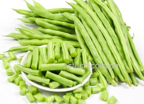 新鲜四季豆的选购示意图