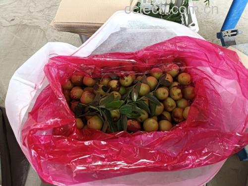 鲜枣蒸煮过程
