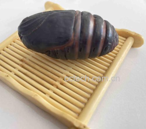 蚕豆炖鸡成品图