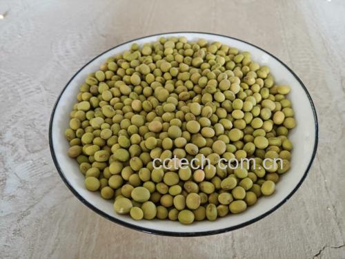 焯水后的毛豆快速冷却过程