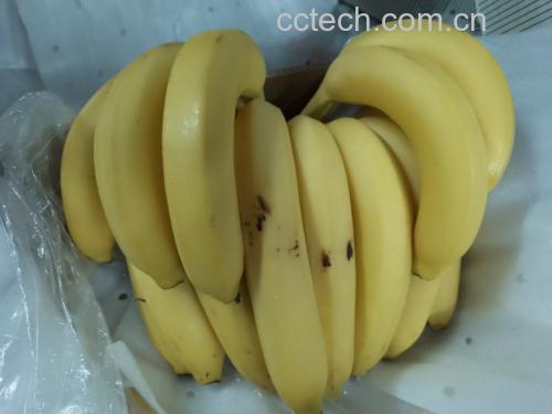 家庭厨房中香蕉储存对比图