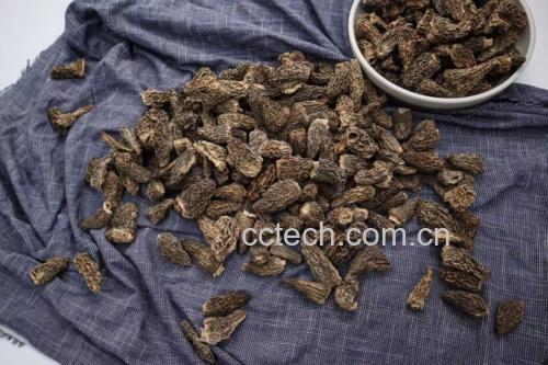 羊肚菌干品分级展示图