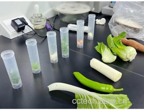 实验室场景，科研人员正在使用试管和仪器分析蔬菜提取液，背景有显微镜和植物标本架