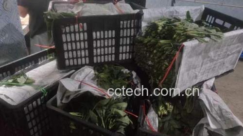 菠萝与不同酸奶类型搭配对比图
