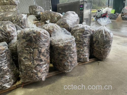 超市货架上陈列的多种糯米笋罐头产品对比图