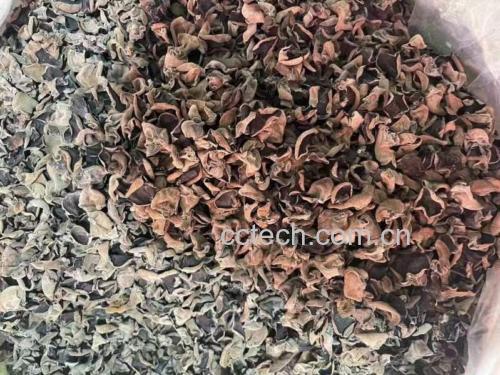 新鲜黑木耳与山药原料图