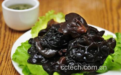 一位中老年人在家中餐桌上食用凉拌黑木耳