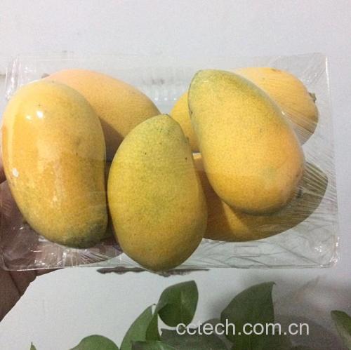 冰箱中密封盒装芒果块