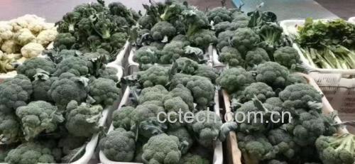 西兰花食材称重展示图