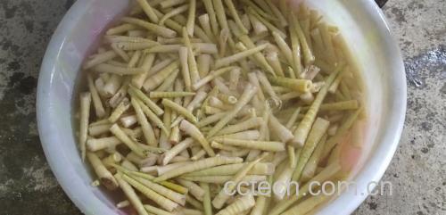 花生嫩芽清洗过程