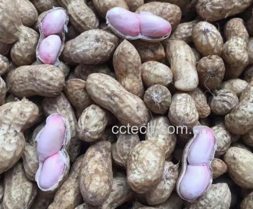 不同加工方式的花生产品