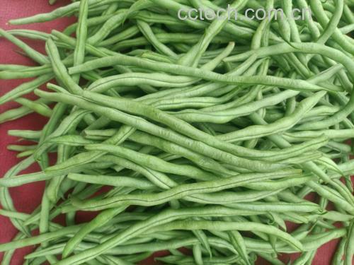豆角与红薯食材对比图