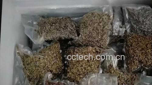 干花椒在密封罐中保存
