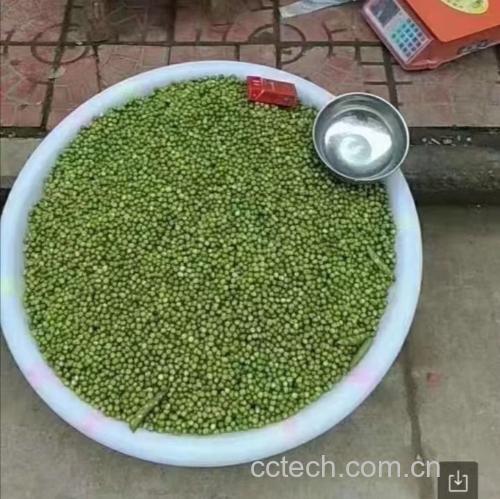 青豌豆与血糖控制