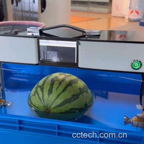 实验室工作人员正在使用仪器检测西瓜样品中的糖度和pH值