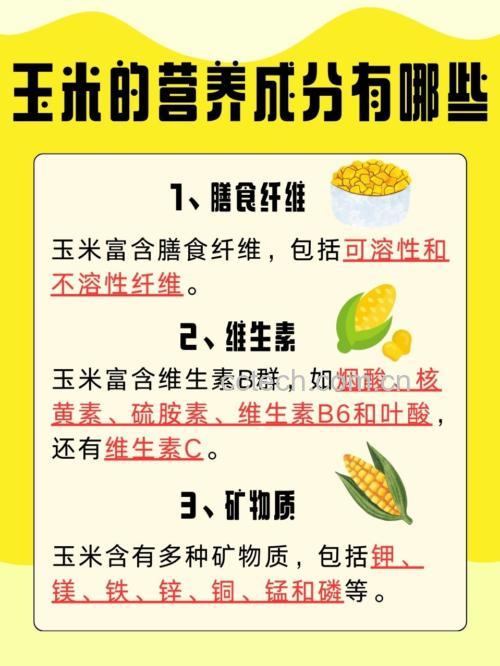 水果玉米的营养构成