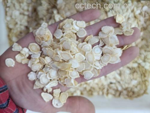 西洋参与药物相互作用示意图