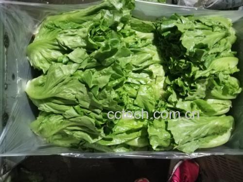 散叶生菜与培根并列摆放于砧板上,背景为木质料理台面,左侧是洗净沥干的翠绿散叶生菜叶片,右侧是整齐排列的红色带白脂纹的生培根条,光线柔和自然