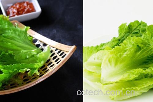 成品生菜培根卷摆盘效果图,白色陶瓷圆盘中整齐码放着切成小段的绿色卷状食物,旁边配有红色小碟盛放深褐色酱汁,整体风格清新简约