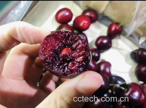 车厘子与霉变车厘子对比图