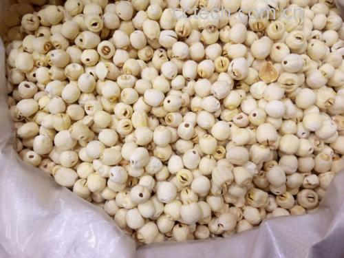 新鲜莲子保存方式示意图