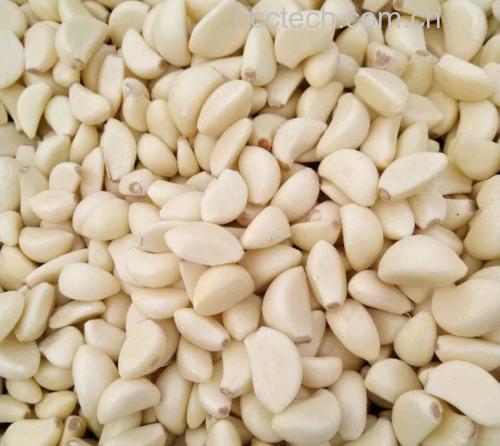 家庭厨房中使用新鲜蒜米进行炒菜