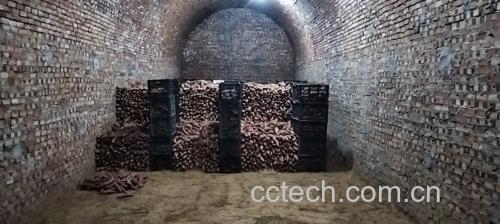 农民在地窖中整理成堆储存的土豆,展示传统与现代结合的长期储藏场景