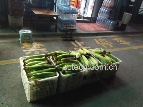 市场售卖的水果玉米摊位