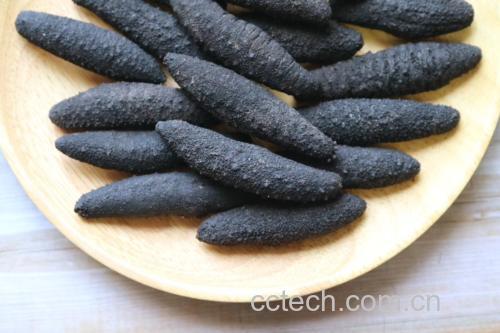 花旗参与鸽子食材图