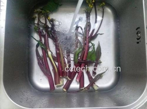 红菜苔清洗与切配过程图