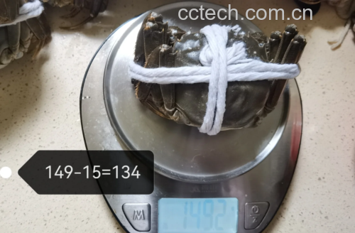 大闸蟹捆绑与解绑对比图