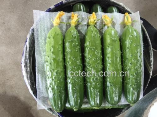 酸辣旱黄瓜制作步骤图