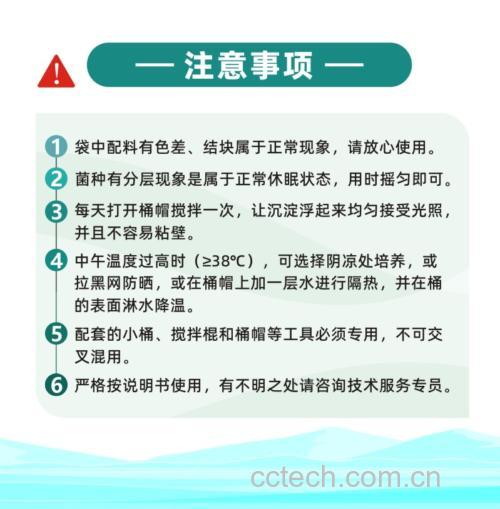 现代化平菇菌种实验室中的接种操作场景