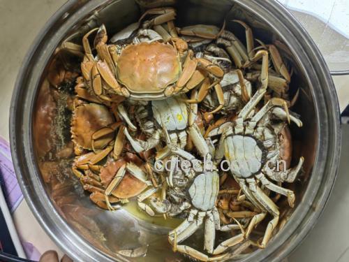 葱姜炒梭子蟹成品图