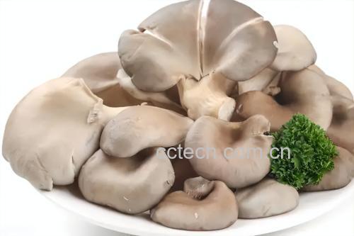 蒜蓉蚝油炒鲜平菇成品图