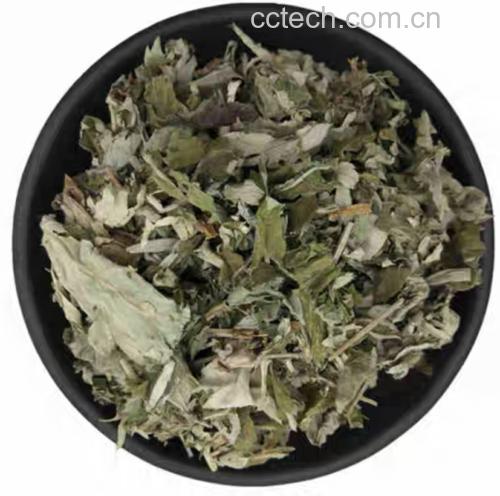 艾绒姜桂圆肉贴肚脐敷贴过程示意图