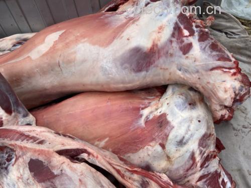 波尔山羊肉菜品特写图