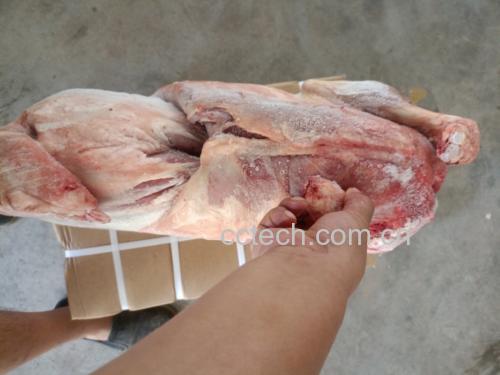 新鲜羊肉切面微观结构示意图